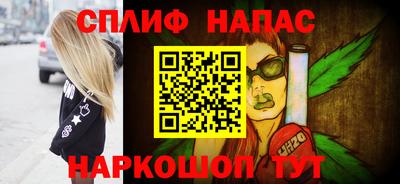 крисы Пенза