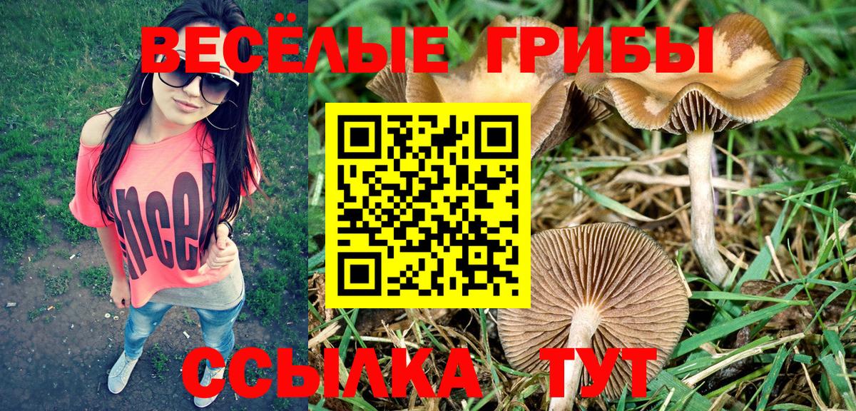 Псилоцибиновые грибы ЛСД Алексеевка